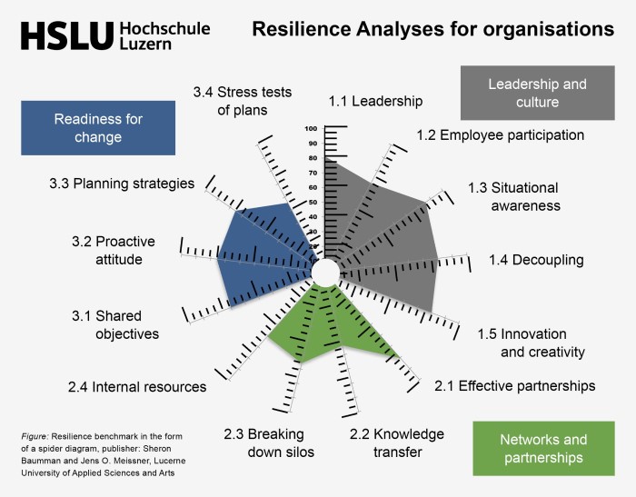 O referencial de resiliência tem a forma de um diagrama de aranha. Mostra o que as empresas podem trabalhar em termos de liderança, rede e mudança.